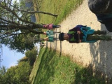 Tn Bild  (19)